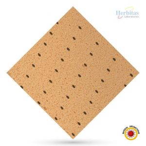 Evastar Antibacterias EVA plantillas