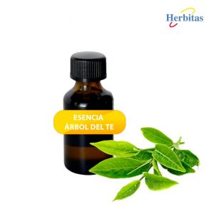 Aceite Esencial Árbol de Té