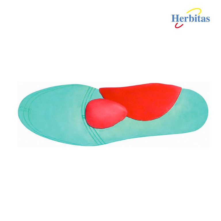 ▷ Plantillas Pies Cavos Plantillas Pies Planos Herbitas®